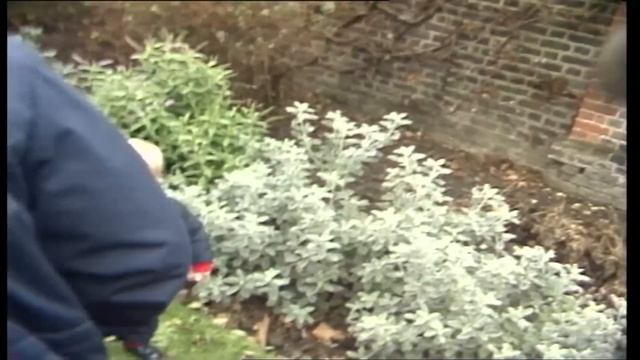 Prince William's Most Adorable Moments смотреть онлайн