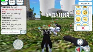 cute pocket cat & puppy world | Играю почти в первый раз!