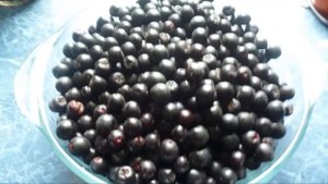 Варенье из черноплодной рябины (Аронии)