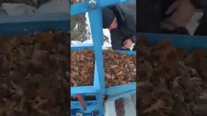 Переработка кедровой шишки    МАШИНА КЕДРОВАЯ МК-2 "БУРУНДУК" т.89135320102