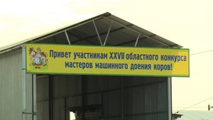 В Александро-Невском районе прошёл конкурс мастеров машинного доения коров