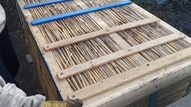 Зимовка. Первый осмотр 16 декабря 2019 г. Камышовый или деревянный? смотреть онлайн