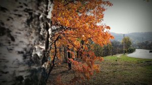 Осень Октябрь 2019 город Находка - архив