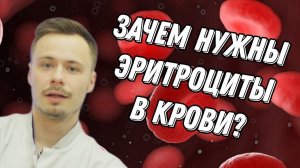 Эритроциты, почему важно знать их уровень в крови? Не допусти появление анемии.
