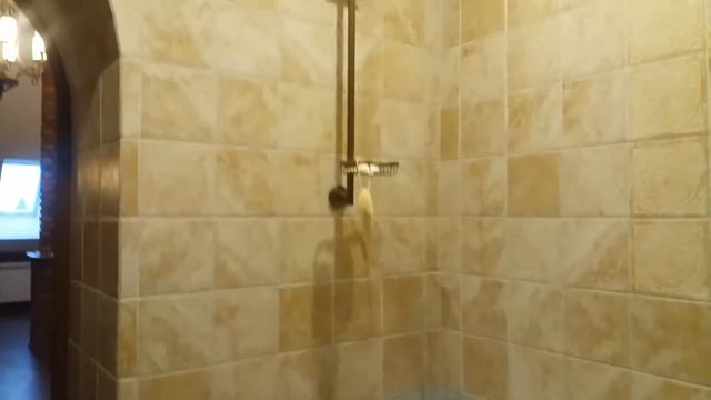Санузел и внутренняя отделка мансарды в доме пластического хирурга
