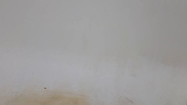 Реставрация ванн в ВЫШНЕМ ВОЛОЧКЕ от АНТОНА. смотреть онлайн