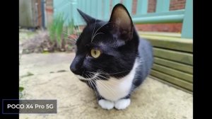 Оценка крутым смартфонам | Xiaomi POCO F4 vs POCO X4 Pro 5G