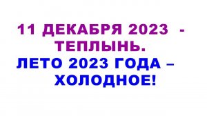 11 декабря 2022 года - майская теплынь с +16 градусами, лето 2023 года - холодное