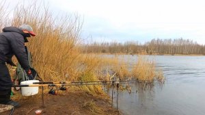 КАРАСЬ В МАРТЕ.Весенний карась на кормаки.