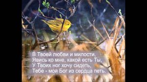 Христианское поклонение. Сборник №19