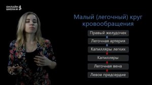 Круги кровообращения. Строение и работа сердца. Урок 15. Биология 8 класс