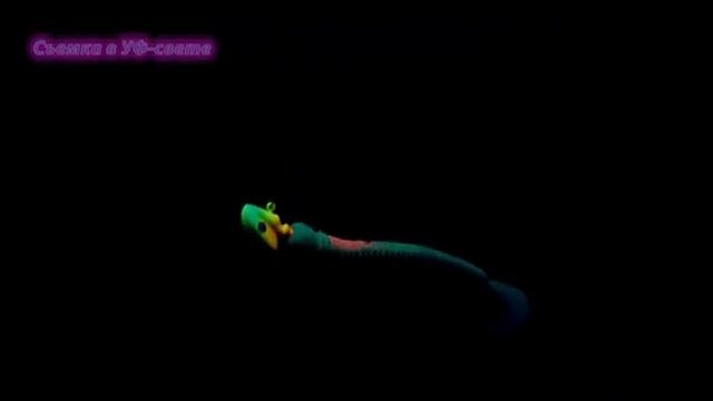 Аттрактанты для хищников смотреть онлайн