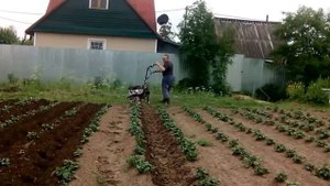 SunGarden Добрыня 7.0, 4 года эксплуатации, окучка дисковой фрезой