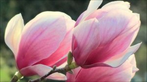 Умение слушать и слышать другого человека.