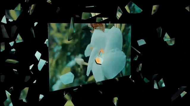 Beautiful flowers Cinematic shots💚 смотреть онлайн