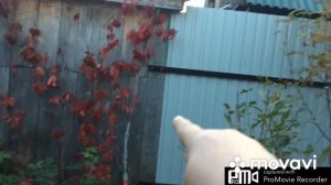 Идеи для дачи из цемента.Формы для заливки..И всего понемногу.