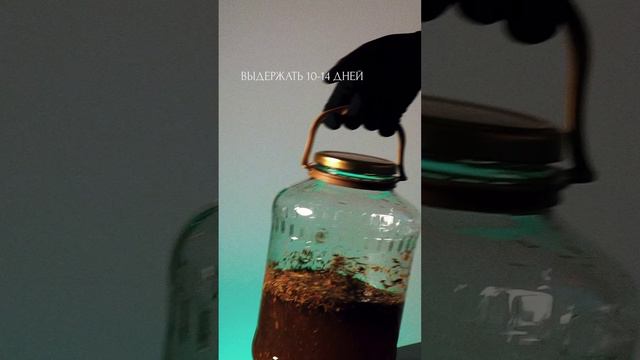 Как приготовить настойку Егерь на самогоне или водке #shorts смотреть онлайн