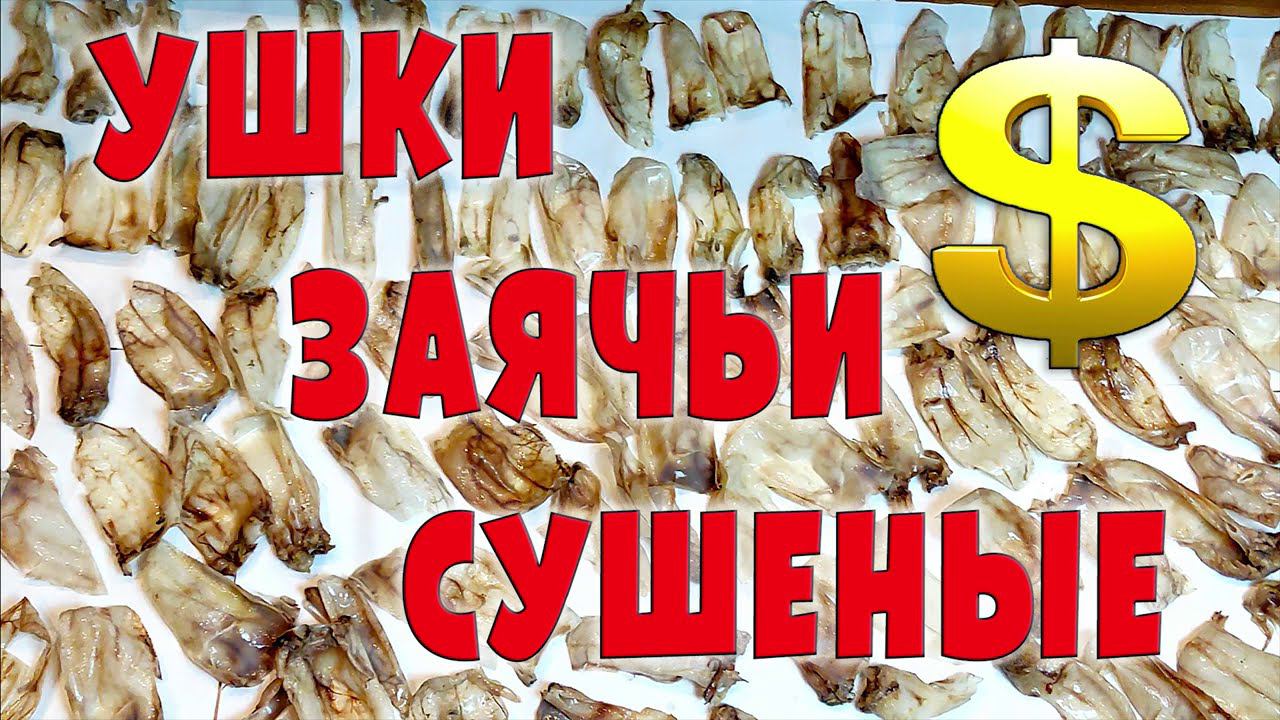 Ушки заячьи верченые
