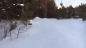 Мотобуксировщик Paxus