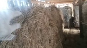 Как построит Сеновал