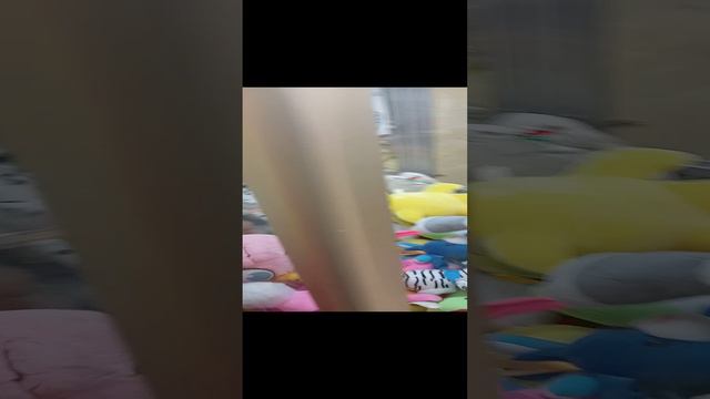 сегодня точно поймаем