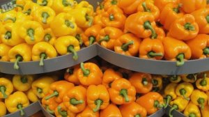 На что способен БОЛГАРСКИЙ ПЕРЕЦ? Вы будете удивлены ?️Болгарский перец польза и вред