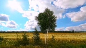 Во поле берёза стояла