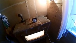 Инкубация перепелов / Начало вывода / Инкубатор Блиц 48 Ц
