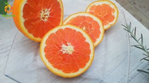 Апельсин "Кара Кара". C.sinensis "Сara Cara Navel"