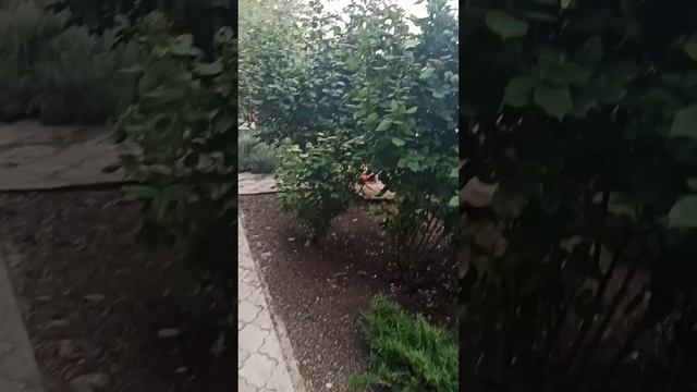 Правильная Баня в Крыму смотреть онлайн