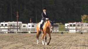 Deborah Stanitski at Region 1 Dressage Championships - Saturday 8:40 AM