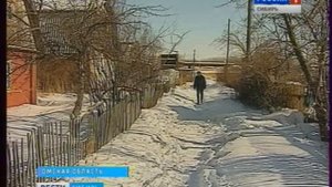 В Омске собаки загрызли 10летнюю девочку