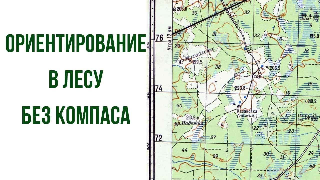 Ориентирование в лесу без компаса