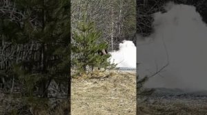 Иногда люди тушат траву огнетушителем!