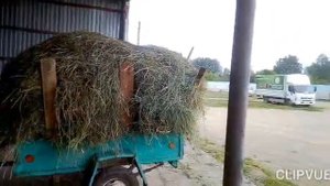 Как я заготавливаю сено на зиму