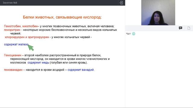 Онлайн-школа СПбГУ 2021/2022. 8 класс. Биология. 13.11.2021 смотреть онлайн