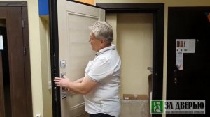 Дверь Промет Винтер Термо