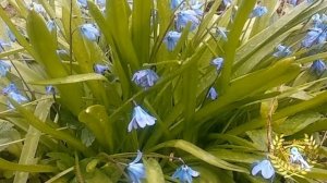 ОТВЕТЫ НА ВОПРОСЫ #5 Светлана д'Арк