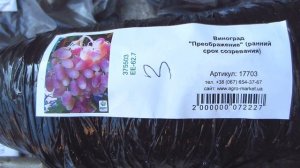 Агро-Маркет (agro-market) Апрельская посылка! Саженцы колоновидных деревьев сливы! Хосты!