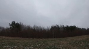 Охота с гончими на лису декабрь 2019г