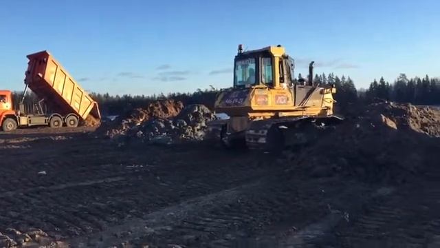 Аренда спецтехники #bulldozer