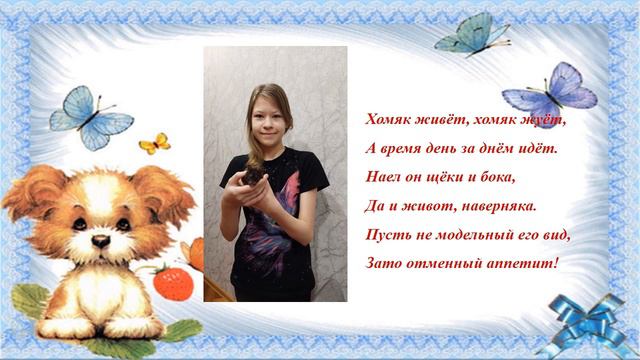 Мой любимый домашний питомец смотреть онлайн