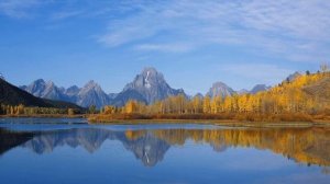 Установка этого устройства запрещена на основании системной политики на Windows 11