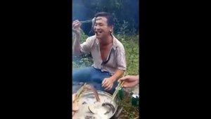 Как в Китае едят лягушек, крокодилов, змей.