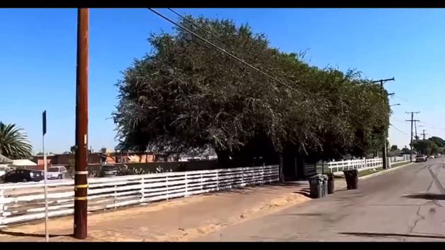 Nutty Blocc Compton Crips VS Acacia Blocc Crips & Tragniew Park Crips смотреть онлайн