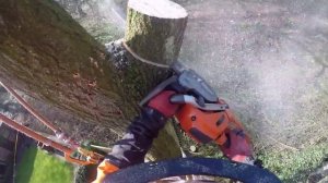 Ash dismantle BMW Treecare HD 1080p