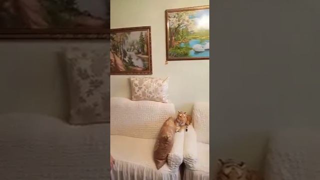 Татарские песни #татаржыры #татарскаямузыка смотреть онлайн