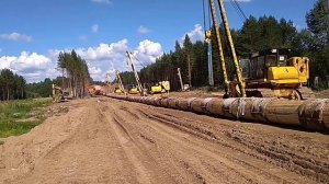 Россия Архангельская область река Виледь август лета 2023 от Р.Х., лета 7532 от С.М., командировка