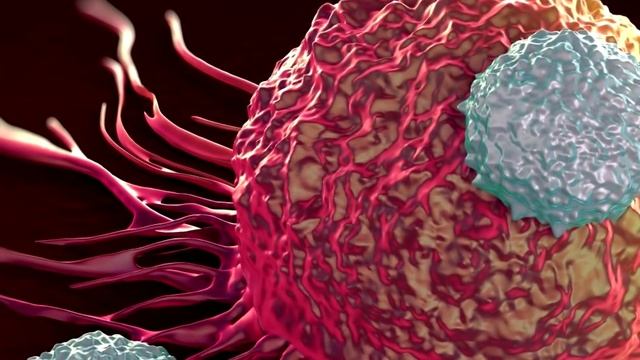 Вот что Будет если Кушать по 2 яйца Каждый день смотреть онлайн