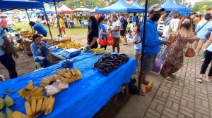 Sunday Market Day in Valencia Philippines. The ride there and a normal grocery shop